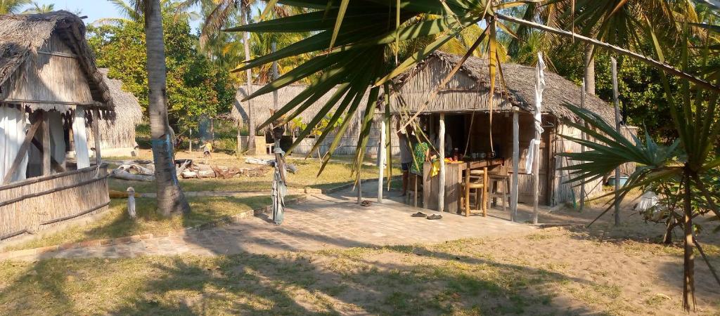 una casa con tetto di paglia e una palma di Povoado Bitonga a Inhambane