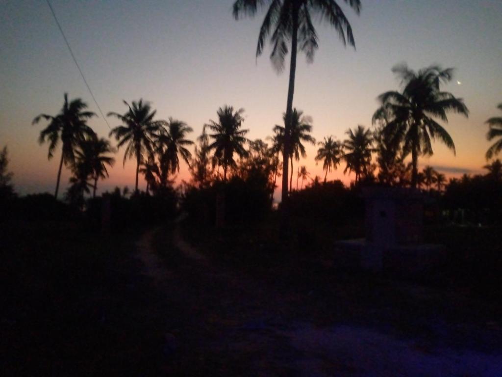 Alba o tramonto visti dall'interno del campeggio o dai dintorni