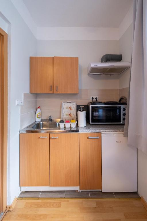 Kuchyň nebo kuchyňský kout v ubytování Guesthouse Rose