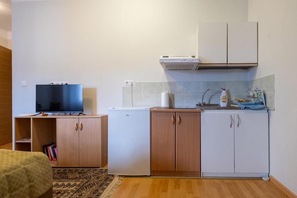 Kuchyň nebo kuchyňský kout v ubytování Guesthouse Rose