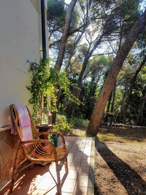 Zahrada ubytování La casa in pineta