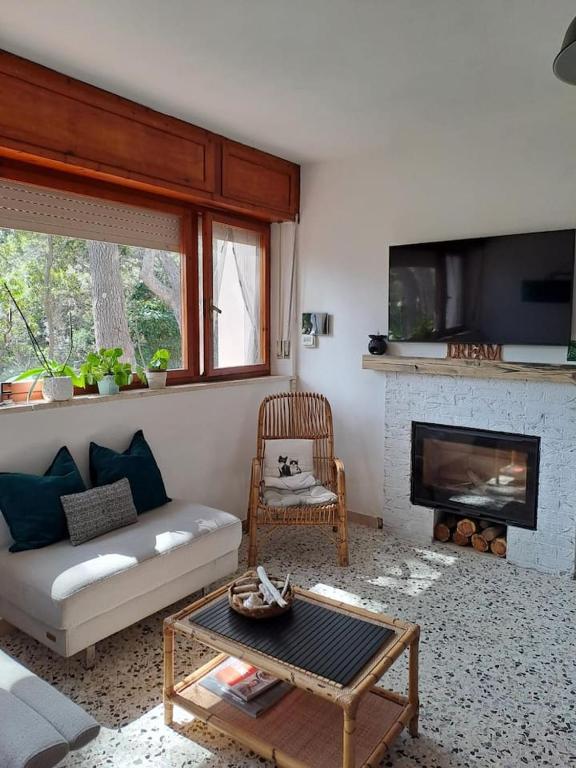 TV a/nebo společenská místnost v ubytování La casa in pineta