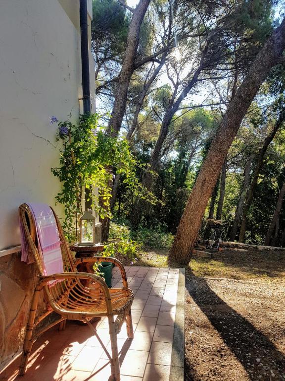 Zahrada ubytování La casa in pineta