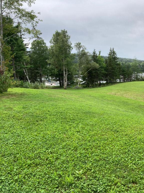 a large field of green grass with trees in the background at Knockmore's Kingfisher Cabin in Baddeck