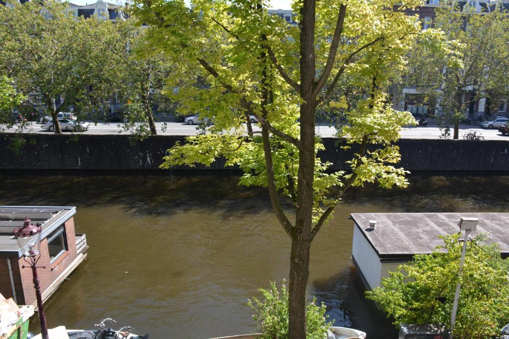 The IF Boutique hotel - Resim 39