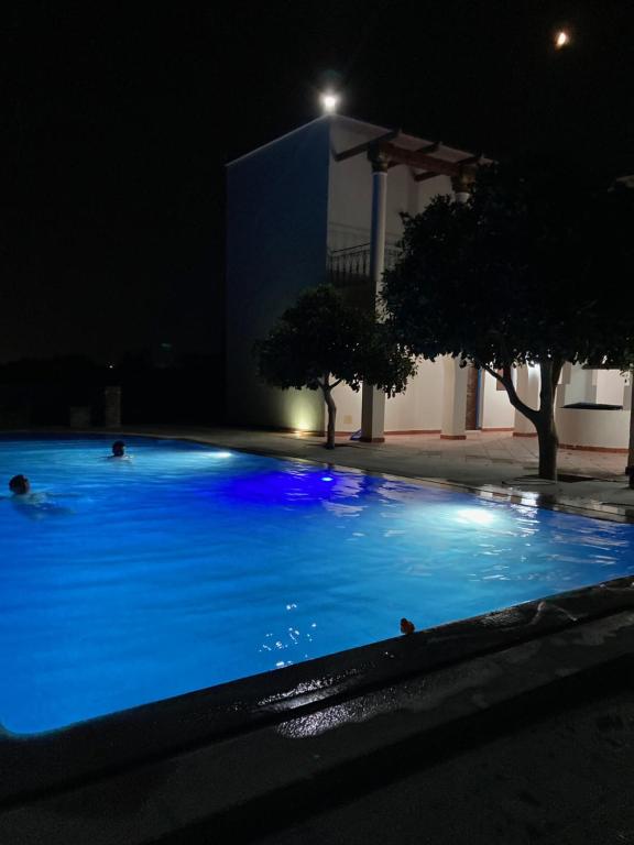 a large swimming pool at night with blue lights at Résidence Jlidi in Midoun