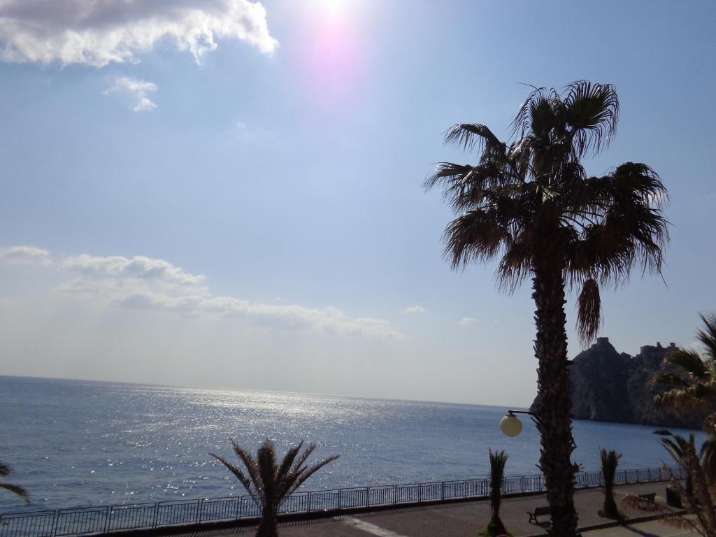 a palm tree in front of the ocean at Akron B&B in SantʼAlessio Siculo