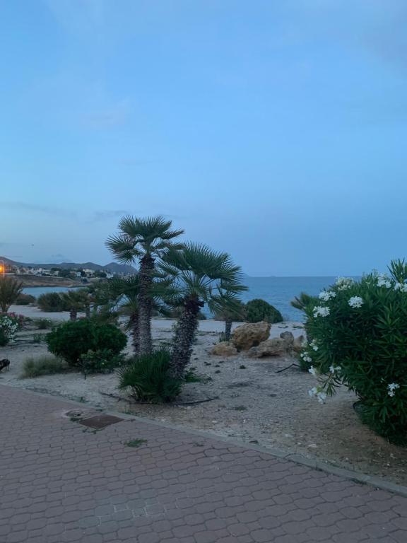 Fotografie z fotogalerie ubytování Almadraba with stunning sea view (2 minutes from sea) v destinaci Alicante
