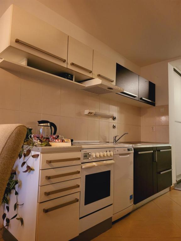 Dolly Apartment Airport - 10