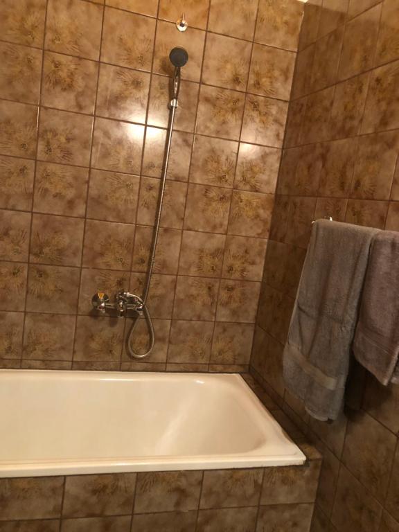 a bathroom with a tub and a shower at Holmes Café & Pension in Engelhartszell