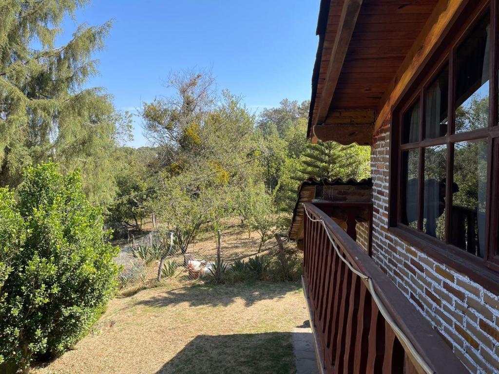 Zahrada ubytování Linda Vista 4