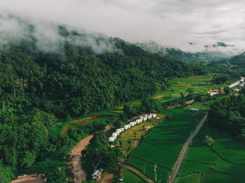 an aerial view of a lush green field and trees at Ikigawa Home in Ban Pha Khap