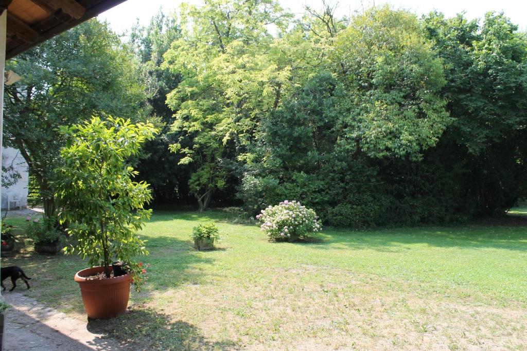 Villa Mainardi Agriturismo - Appartement - Begane Grond