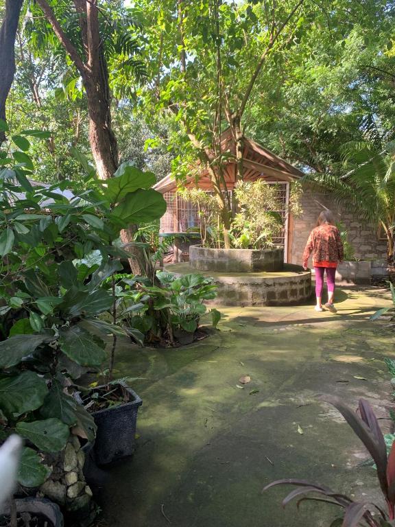 Zahrada ubytování D Sanctum Resort