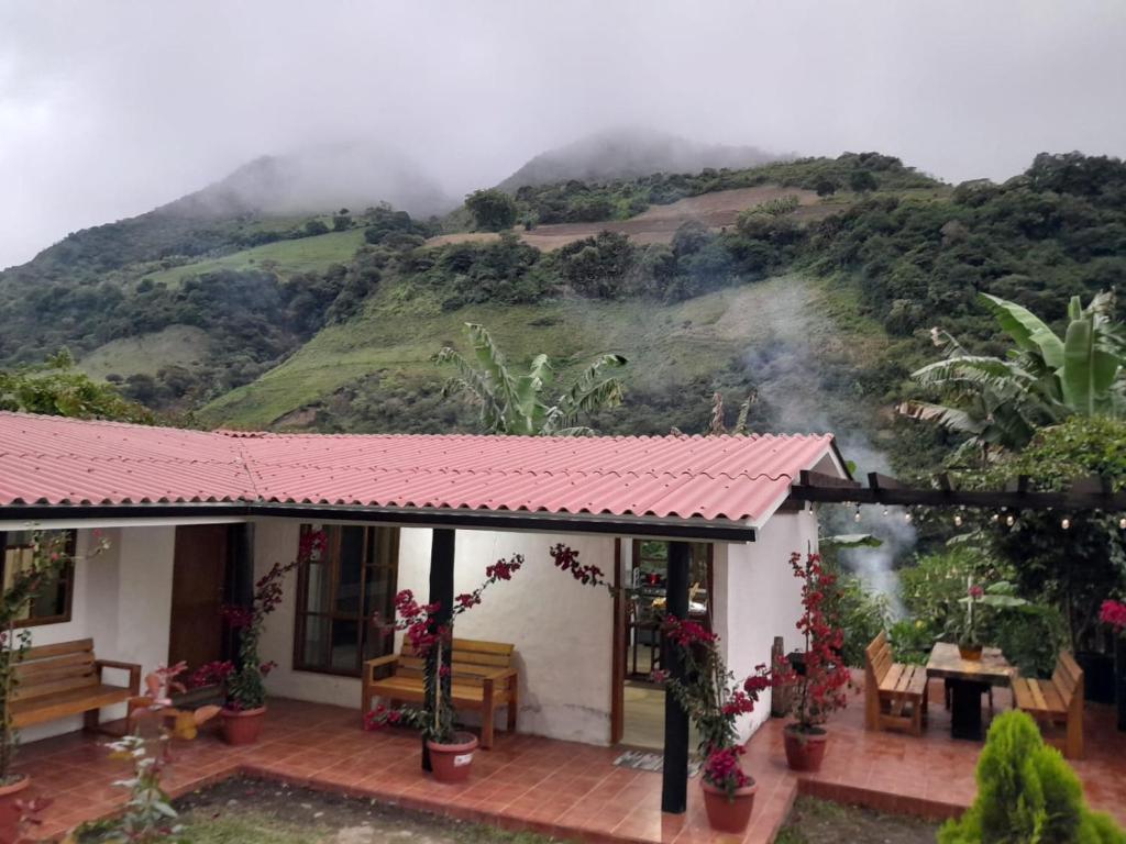 a house with a view of a mountain at CABAÑAS DOS RIOS in Cotacachi