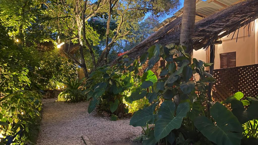 un jardín frente a una casa con plantas en Atii Garden Bungalows, en Nungwi