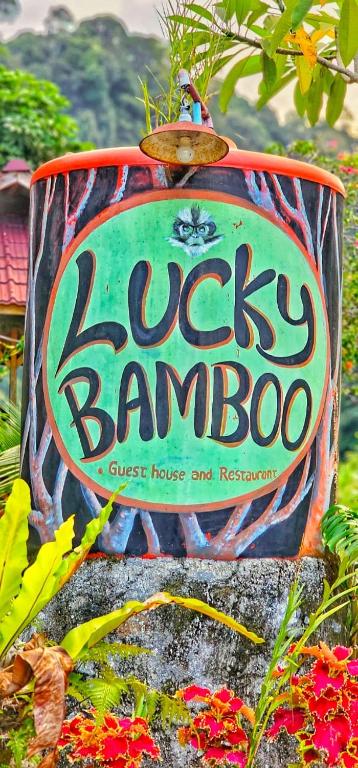 Certificato, attestato, insegna o altro documento esposto da Lucky Bamboo'Bungalows-Resto and Orangutan Jungle Trekking Tours