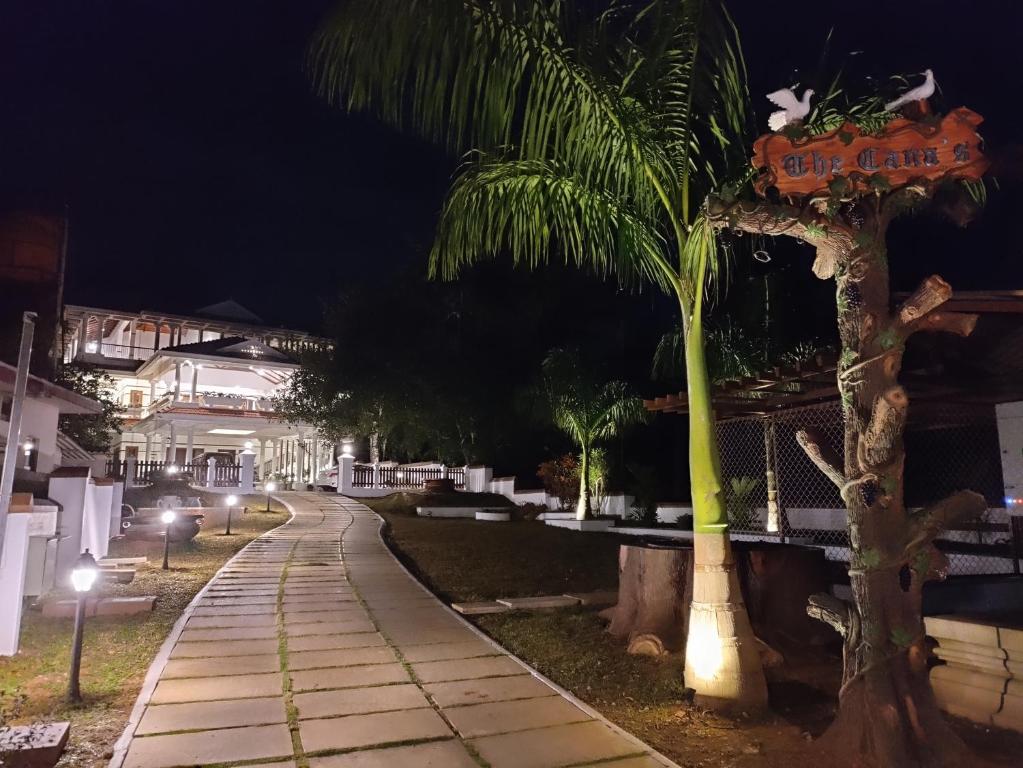 a palm tree next to a sidewalk at night at The Cana's Coorg in Ammatti