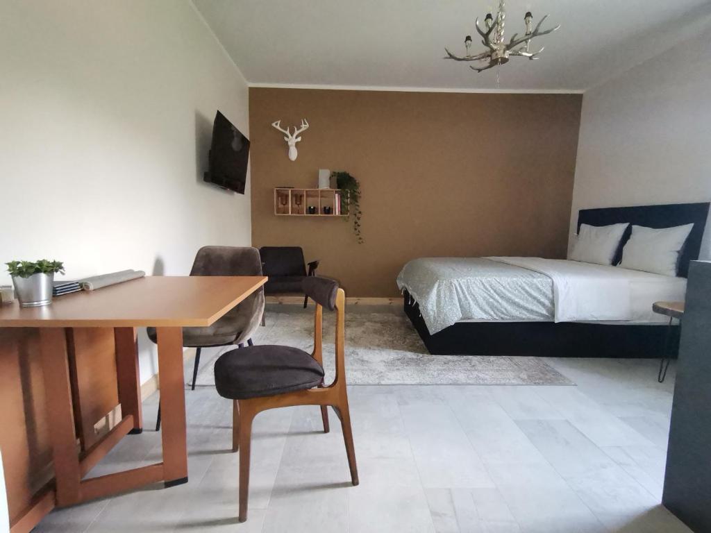 een hotelkamer met een bed, een bureau en een slaapkamer bij Motyl Apartamenty Studio in Bytom