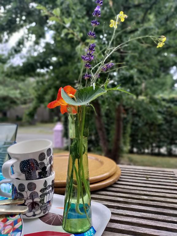 Zahrada ubytování Champagne