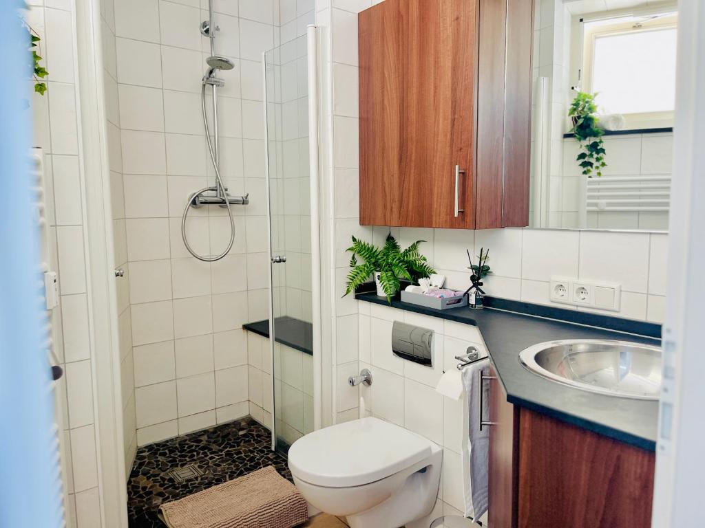 a bathroom with a toilet and a sink and a shower at Penthaus Horizont mit Meerblick in Lübeck