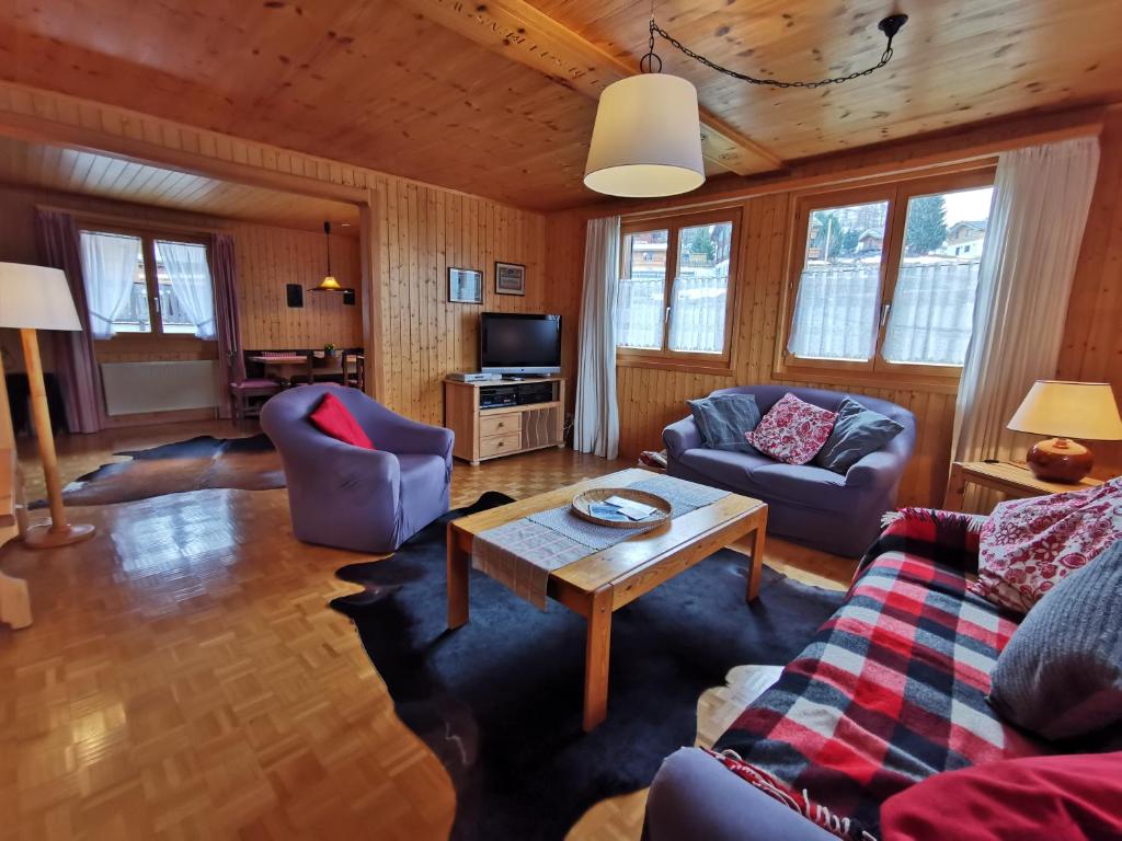 TV a/nebo společenská místnost v ubytování CHALET HÜTTLE - authentisch, ruhig, mitten im grün