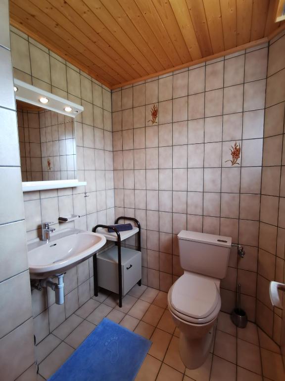 Koupelna v ubytování CHALET HÜTTLE - authentisch, ruhig, mitten im grün