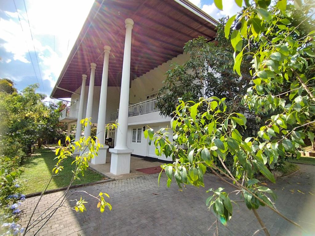 Zahrada ubytování Boztreve Home