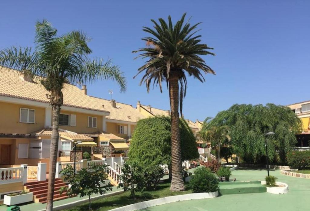 un grupo de palmeras frente a un edificio en 4-room house Las Americas, Las Vistas beach en Playa de las Americas