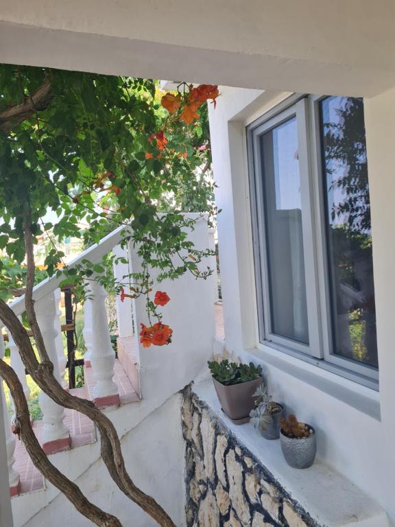 Balkón nebo terasa v ubytování Apartments Ivan