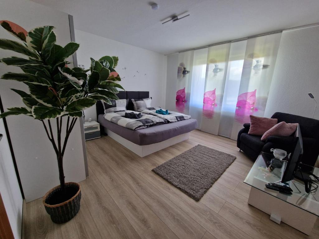 a living room with a bed and a couch at Ferienwohnung Starennest mit direktem Harzblick in Bad Lauterberg