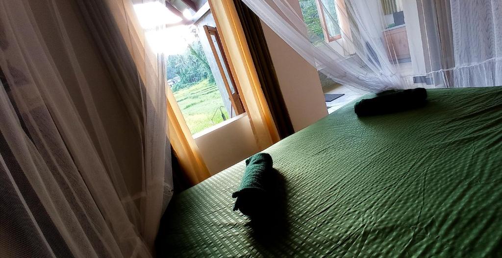 Postel nebo postele na pokoji v ubytování Rain Forest Star