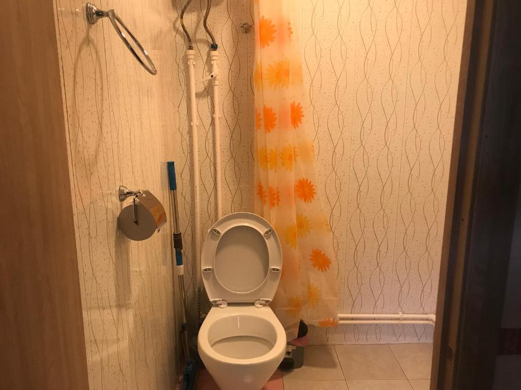 een badkamer met een toilet en een douchegordijn bij Forrest-For Rest in Dilidzjan