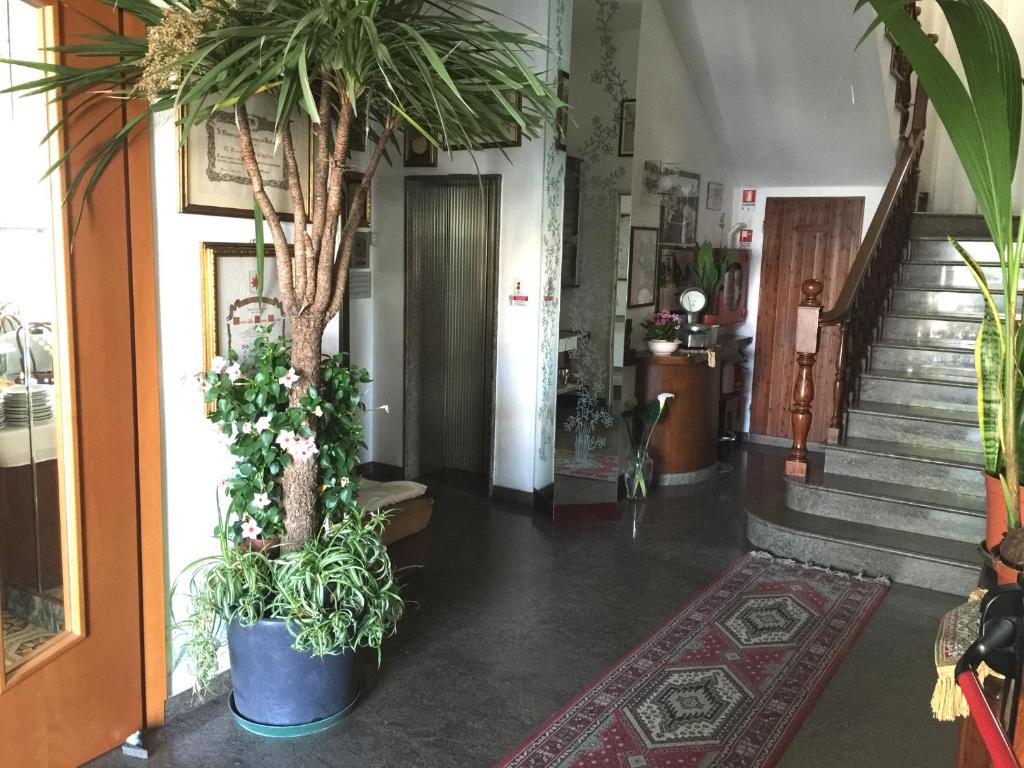 Fotografie z fotogalerie ubytování Hotel Villa Verde v destinaci San Mauro a Mare