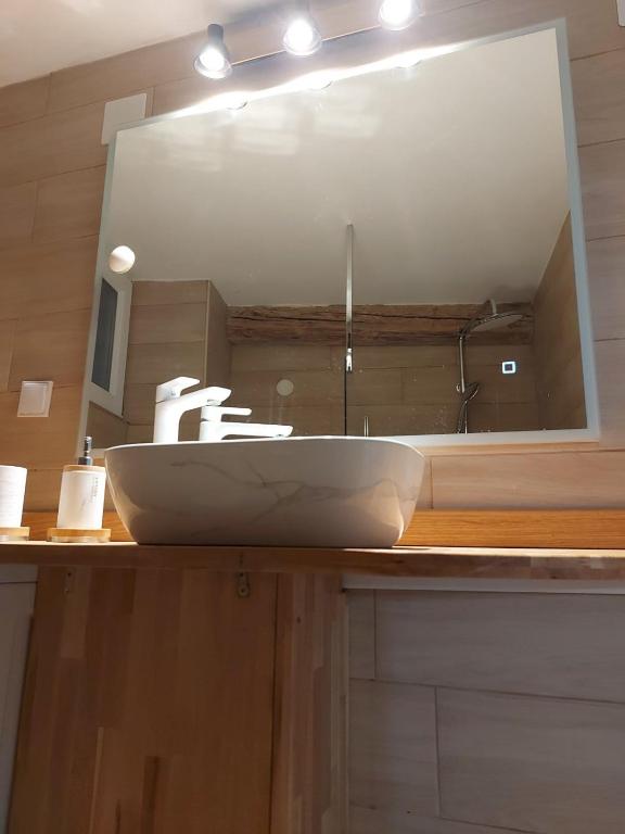 a bathroom with a sink and a mirror at Studio al Mulino in Rovinj