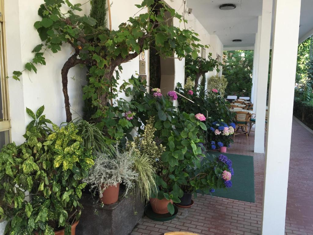 Zahrada ubytování Hotel Villa Verde