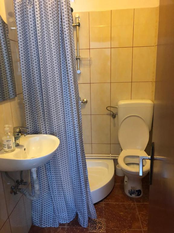 Koupelna v ubytování Pensiunea Diskret