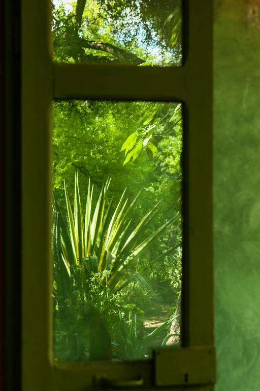 Zahrada ubytování Riad Jardin Des Biehn