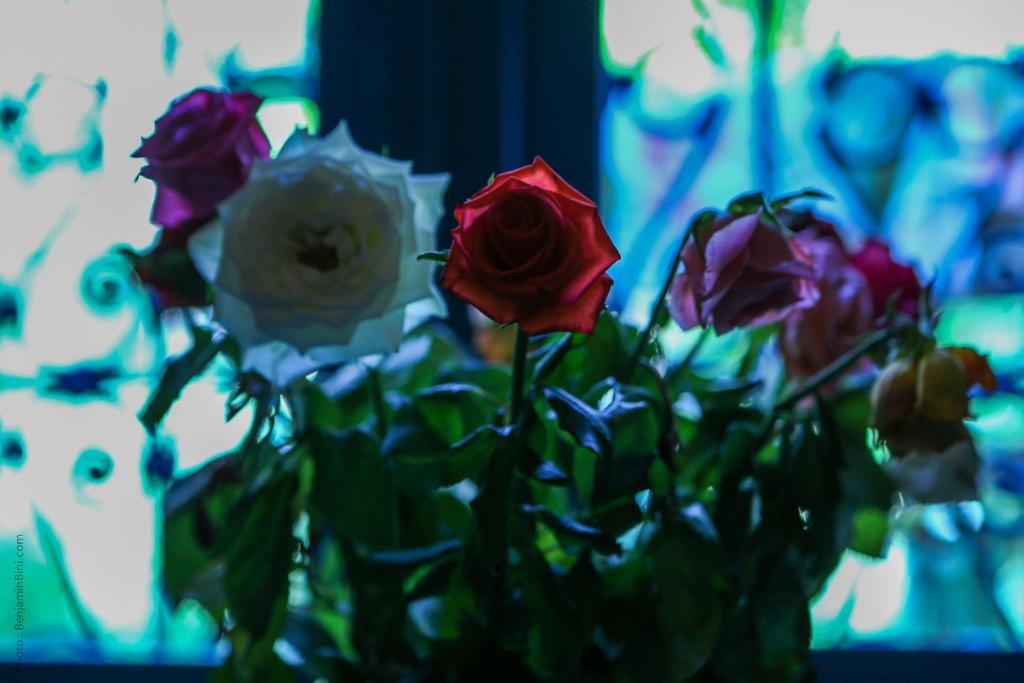 Fotografie z fotogalerie ubytování Riad Jardin Des Biehn v destinaci Fès