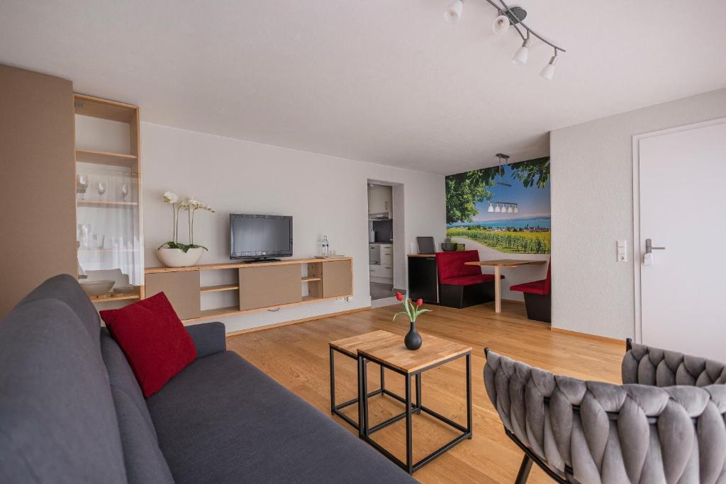 ein Wohnzimmer mit einem Sofa und einem Tisch in der Unterkunft SEEZEIT Residence in Hagnau