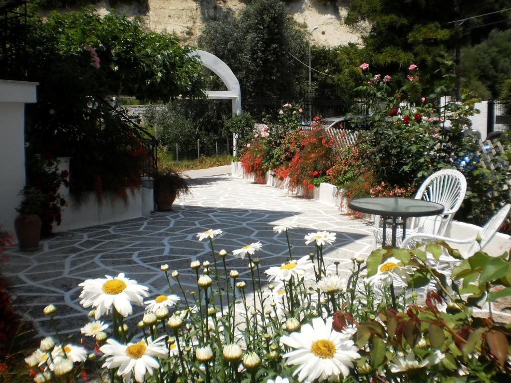 A garden outside Oasis