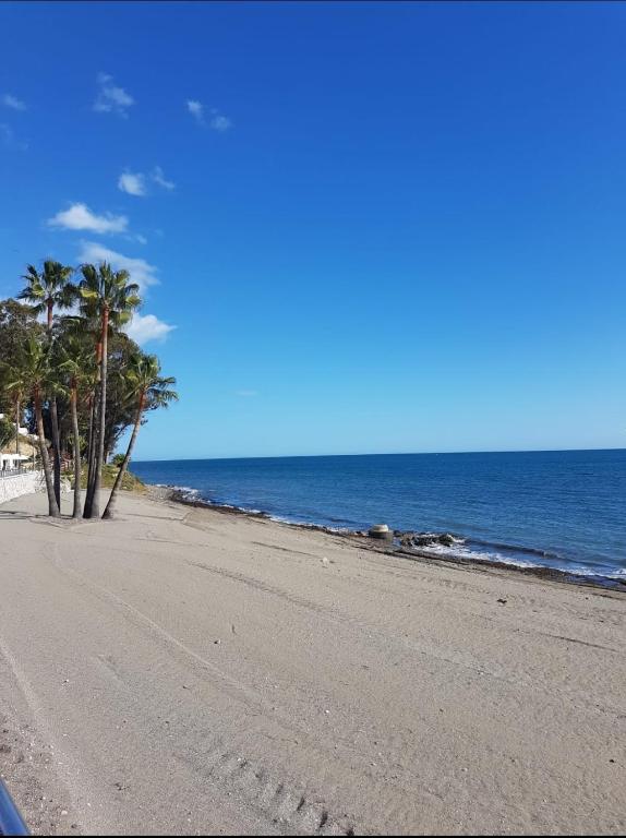 Fotografie z fotogalerie ubytování Orchid of Estepona v destinaci Estepona