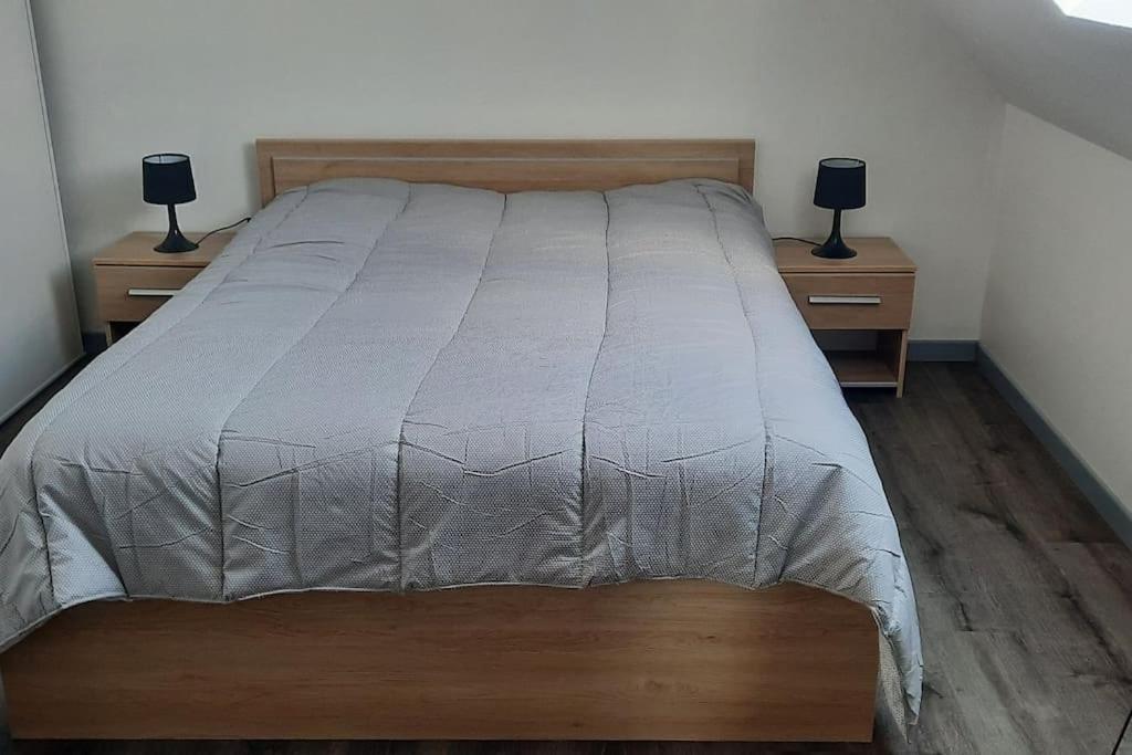 a bed in a bedroom with two nightstands and two lamps at La Maison LUDO in Arrest