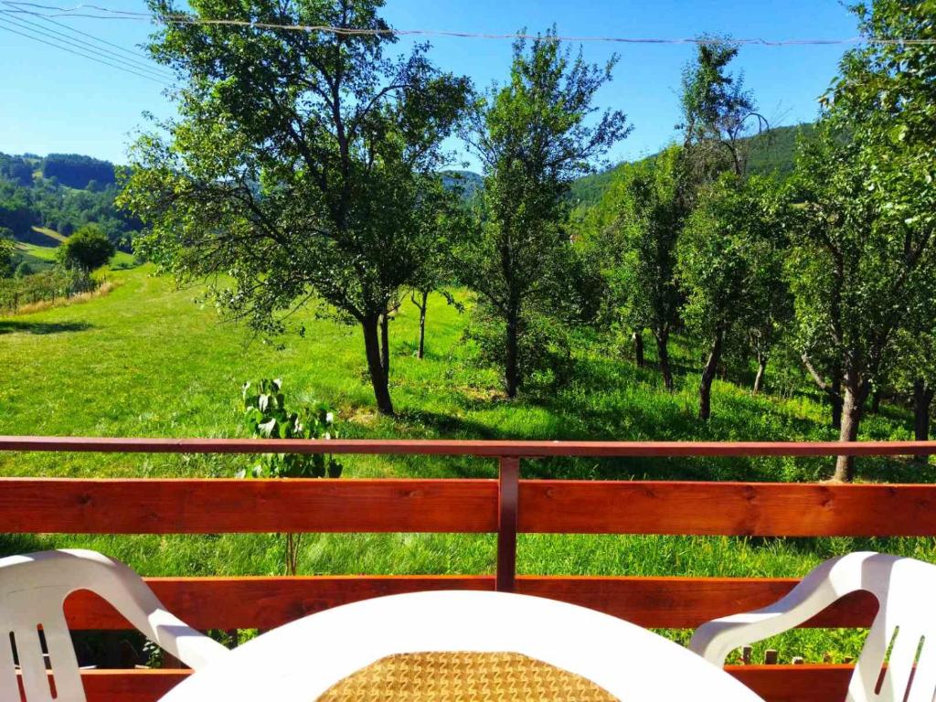 Priroda u blizini apartmana