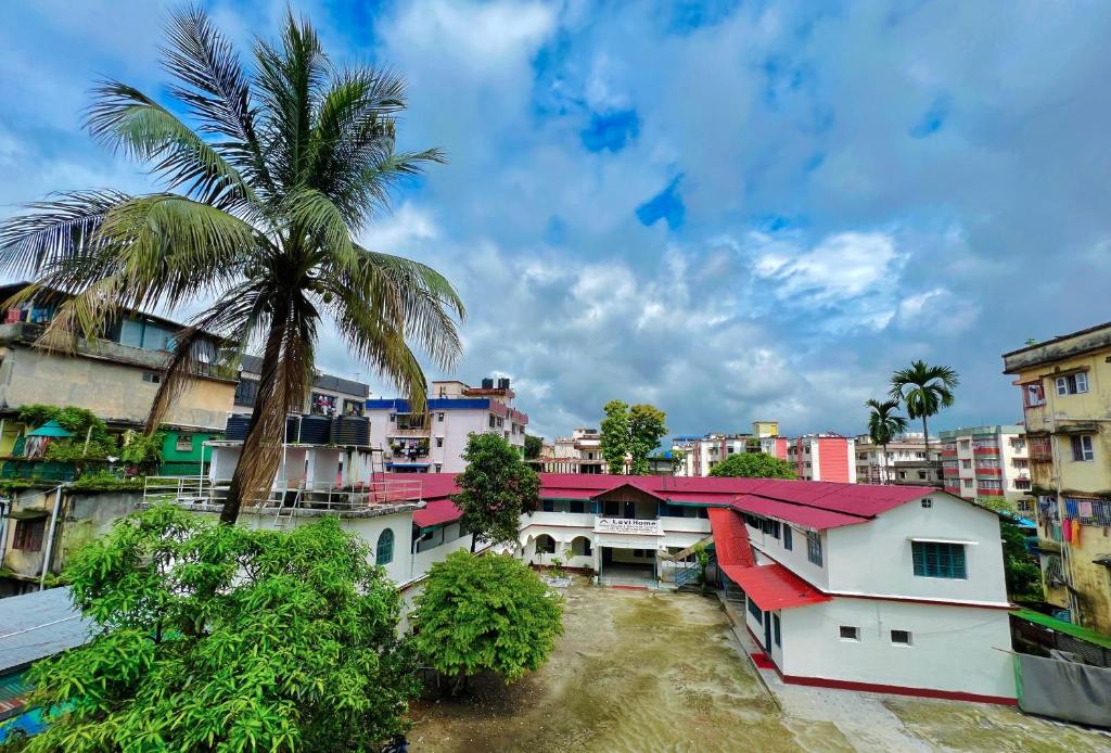 a city with a palm tree and buildings at Levi Home Guest House & Retreat Centre in Siliguri