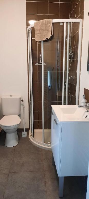 a bathroom with a shower and a toilet and a sink at Maison éclusière Le Port, Les Refuges du Halage in Sacé