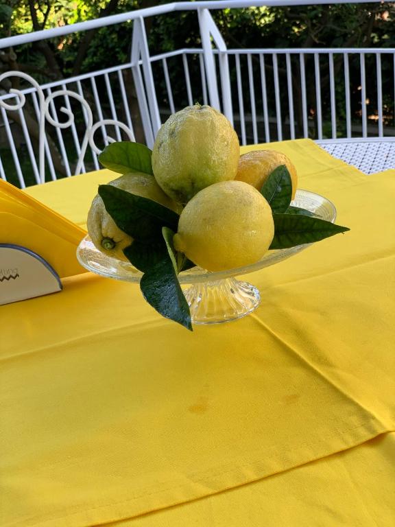 Villa Cettina Boutique Hotel - 15