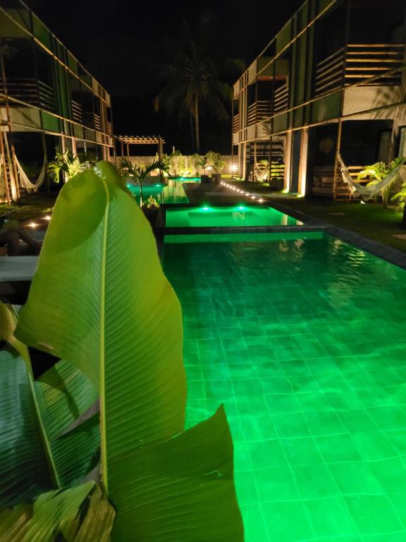 uma piscina à noite com uma grande planta verde ao lado em Villa Kamby 101B Milagres , ao lado da Capela dos Milagres em São Miguel dos Milagres