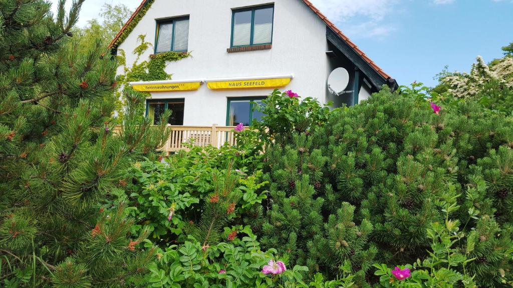 Zahrada ubytování Haus Seefeld