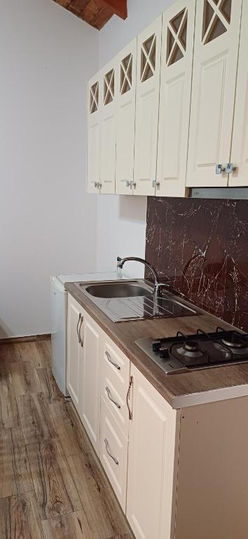 Kuchyň nebo kuchyňský kout v ubytování Hotel Lepenica